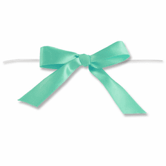 2" Aqua Small Bow