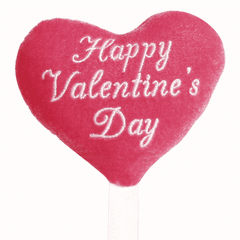 4.5" Pink Plush Valentine Heart