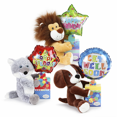 Pal Gift Everyday Assortment