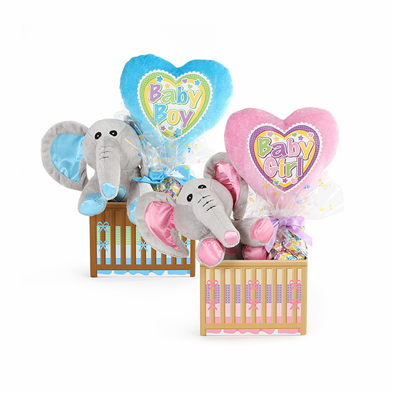 Welcome Baby Gift