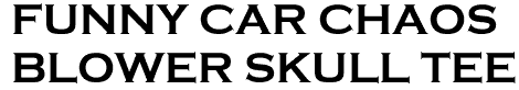 <b><font color="#E10600" size="40"> FUNNY CAR CHAOS<br> BLOWER SKULL TEE