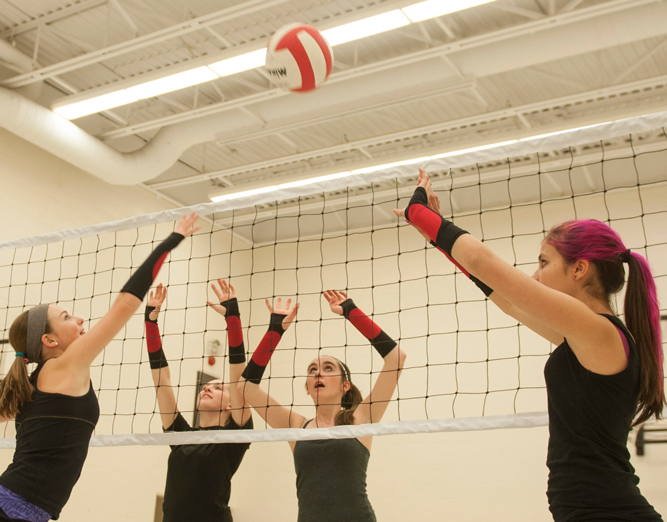 ARM2AIM VBALLSLEEVE Volleyball Protective & Training Arm Sleeves in