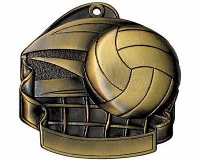 Volleyball Medal with Net