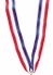 Volleyball Medal with Net