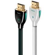 FOREST48 HDMI