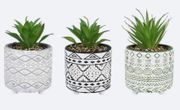 Cement Pot W/Artificial Greenery 3 pc.Set