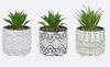 Cement Pot W/Artificial Greenery 3 pc.Set Cement Pot W/Artificial Greenery 3 pc.Set