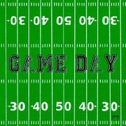 Cocktail Napkins Game Day Football Field 