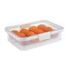 Collapsible Deviled Egg Carrier, Holds 24 Eggs
