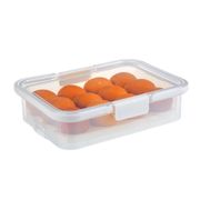 Collapsible Deviled Egg Carrier, Holds 24 Eggs
