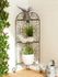 Corner Plant Stand FREE SHIPPING Corner Plant Stand FREE SHIPPING