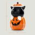 Dolomite Cookie Jar Black Cat Pumpkin 11 X 6.3