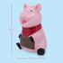 Dolomite Cookie Jar  Pig   