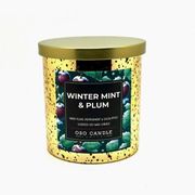 Glass Tumbler Candle 8.5 oz / Metal Lid Winter Mint and Plum Scent