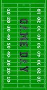  Guest Towels  Game Day Football Field 16ct.