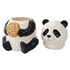 Panda Cookie Jar Panda Cookie Jar