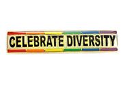 Lapel Pin Celebrate Diversity