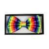 Men's Rainbow Banded Bow Tie