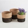Mini Cylinder Sawgrass Basket 3pc Set   SALE ENDS 8/16/2025