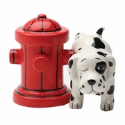 Salt and Pepper Shaker Set  Where's the Fire 