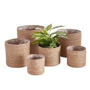 Round Cylinder Seagrass Basket Set  5pc SALE ENDS 8/16/2025