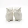  Salt and Pepper Shaker  Mini Ceramic Owl