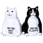 Salt and Pepper Shaker Set Not Fat Cats 