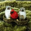 Salt and Pepper Shakers Cardinal in Nest