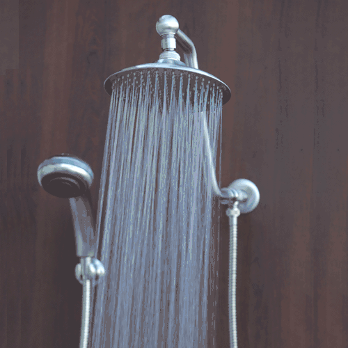 atlantis-6-rainforest-