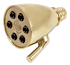 Giessdorf 6 Jet Polished Brass Shower Head - Shower Power