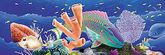 Coral Reef Rear Window Decal