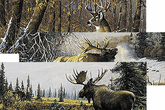 Deer, Moose, Elk or Caribou Decals