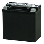 Deka AUX14 Automotive AGM Auxiliary Battery (200 CCA)