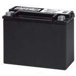 Deka AUX18L Automotive AGM Auxiliary Battery (300 CCA)
