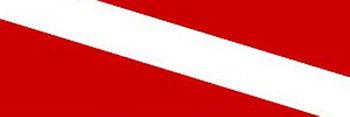 Diver Down Rear Window Decal