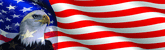 Eagle Head American Flag Rear Window Decal