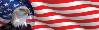 Eagle Head American Flag Rear Window Decal