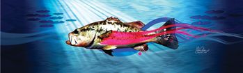 Grafix Jam Bass Fish Rear Window Decal