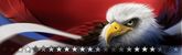 Grafix Jam Eagle's Pride Rear Window Decal