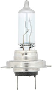 Economy H7 Halogen Bulb