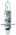 Hella H1 100W Halogen Bulb