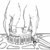 Lisle Wrinkle Band Ring Compressor