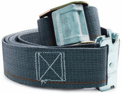 Logistics Strap with Cam Buckle and Spring Fitting (2" x 16')