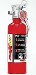 Maxout MX100 Dry Chemical Fire Extinguisher