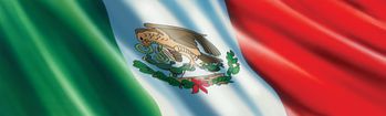 Mexican Flag Rear Window Decal