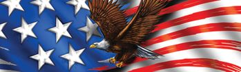 Patriot Eagle Flight Rear Window Decal