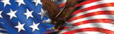 Patriot Eagle Flight Rear Window Decal