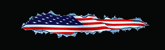 Patriot Inside Rear Window Decal