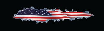 Patriot Inside Rear Window Decal