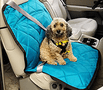 Pet Travel Accessories